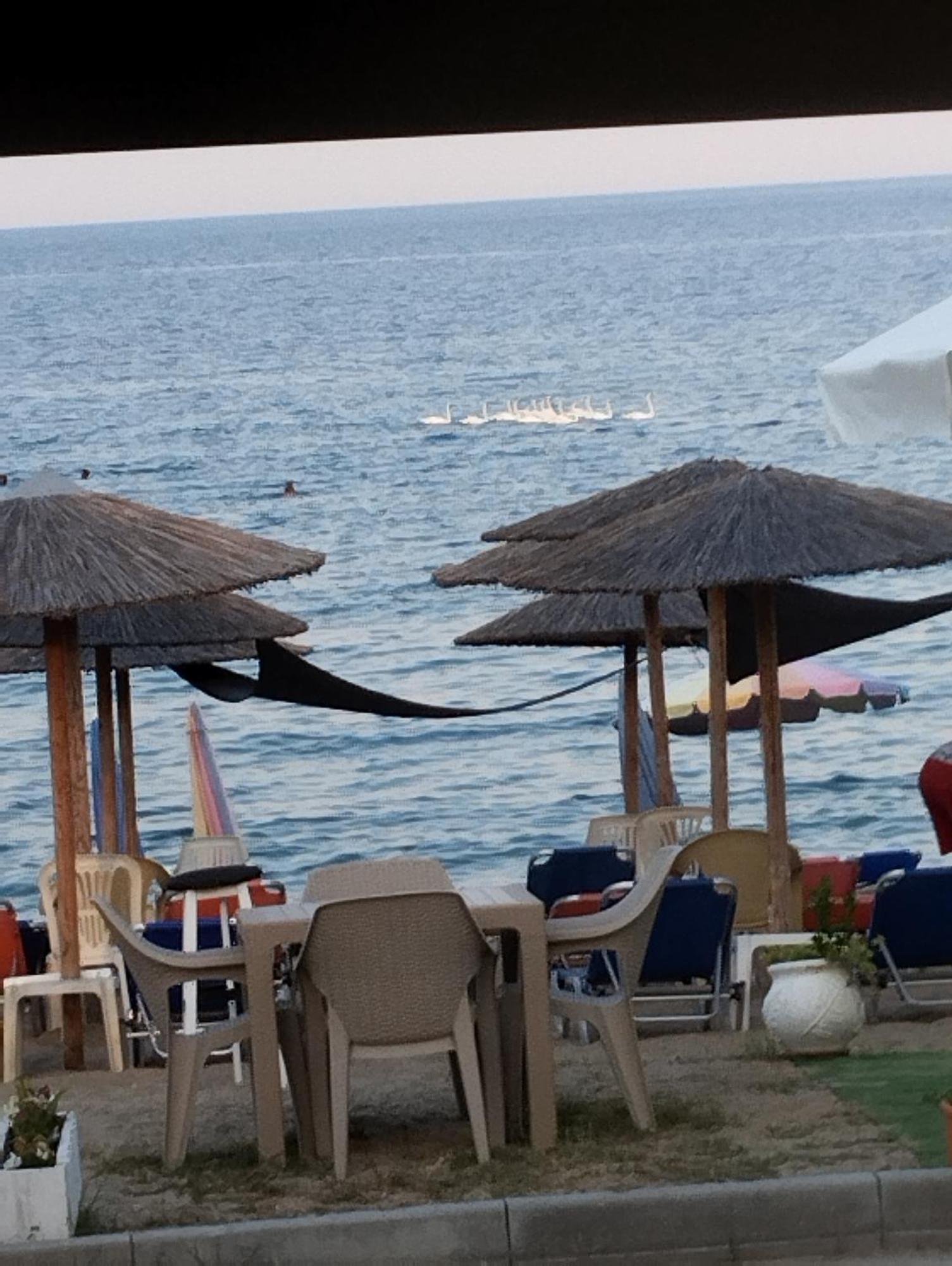 Bella Vista Апартаменты *